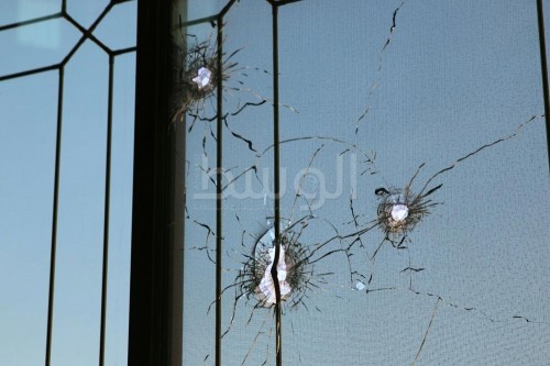 ���� ������� 6