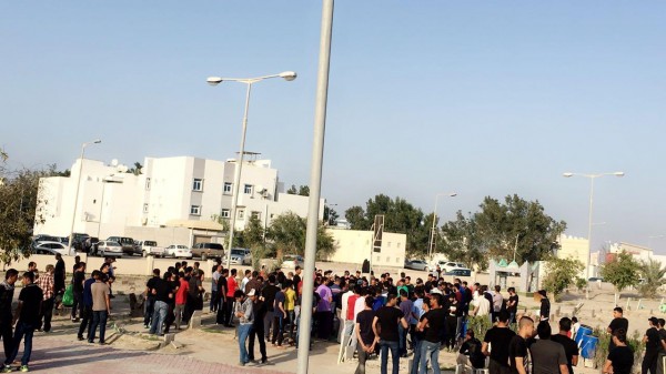 ������ �����8