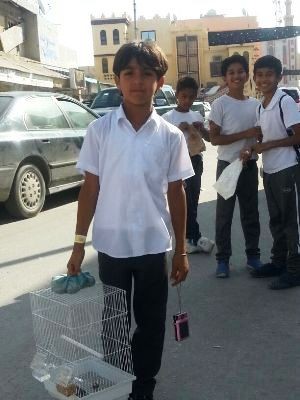 ��� ����