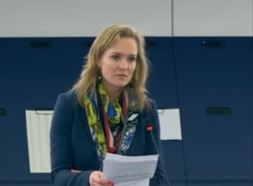 ������ ����