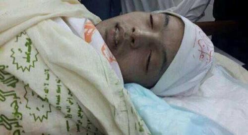 ������ �������