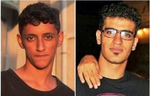 ����� ��� ����� ���� ���� ���� ���