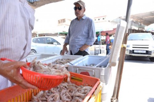 ������ ���� �������� �� ���� ������� (�����)