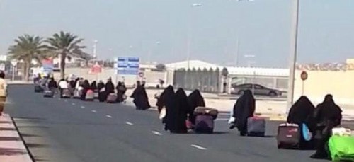 ���� ���������� 3