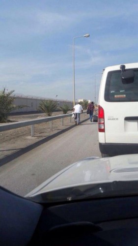 ���� ���������� 5