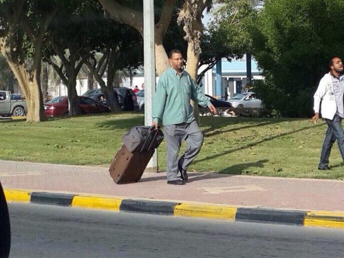 ���� ����������  11