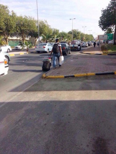 ���� ���������� 13