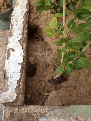 ����� �������