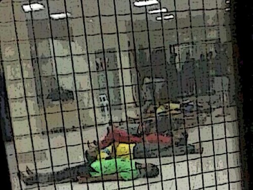 ��� �� (���� �������)