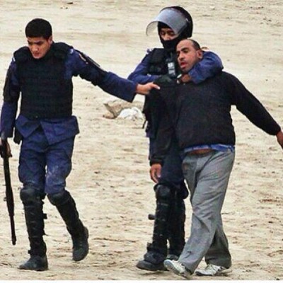 ���� ������ ���� �������