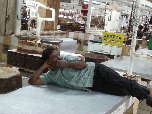 ������ 33