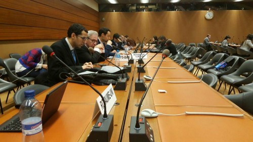 5 �� ����