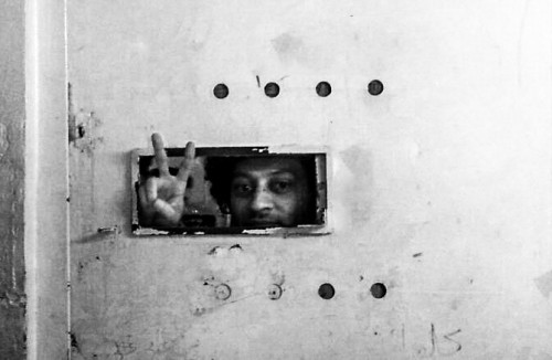 ������ �������� ���� ����� ����� �� ����� �������