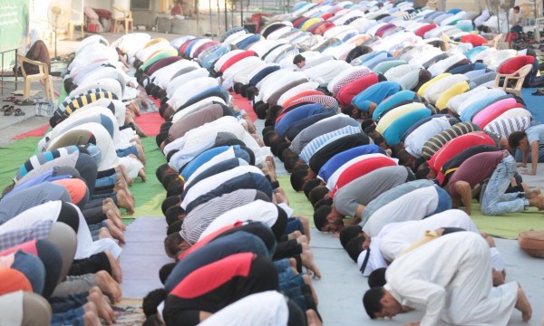 ��� ������.. �������� �� ��� ���� ��� ����