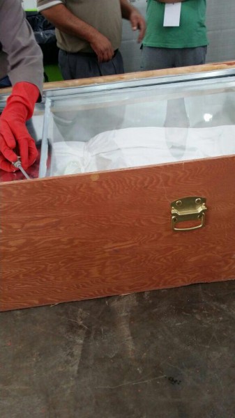 ���� ����