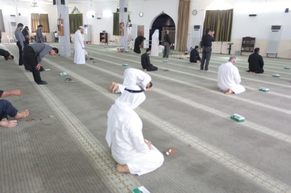 ���� ������ ������ �������11