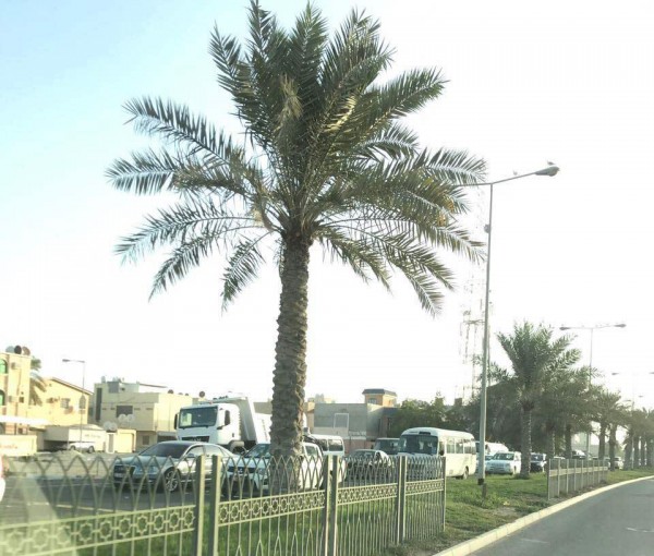 ������ 11