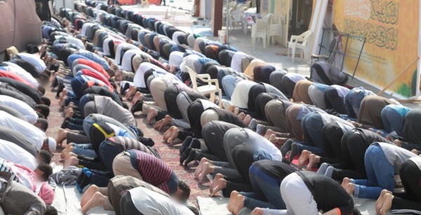  ���� �������� 1