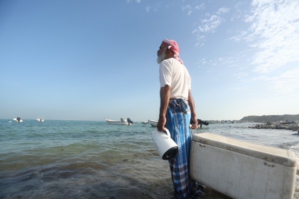 ��� ����7