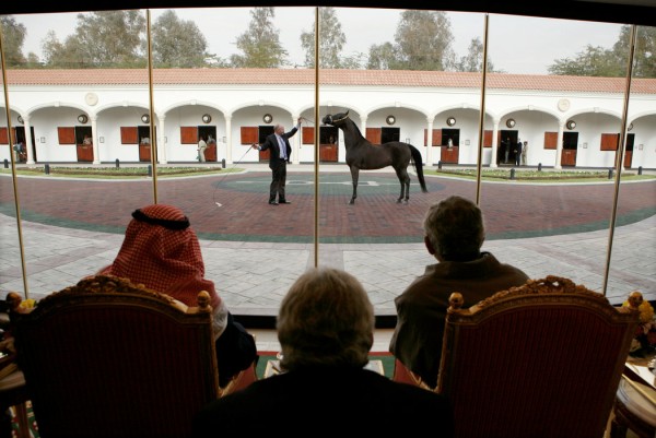 ����� ��� ���� ��� �����ѡ ���� ��� ������� �� 2005 ���� ����� ��� 2015� �� ������ ���� ��ԡ ��� ������ ����� ������ ��� ������� ��� 2008 