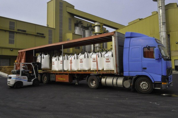 ������ ������� �����