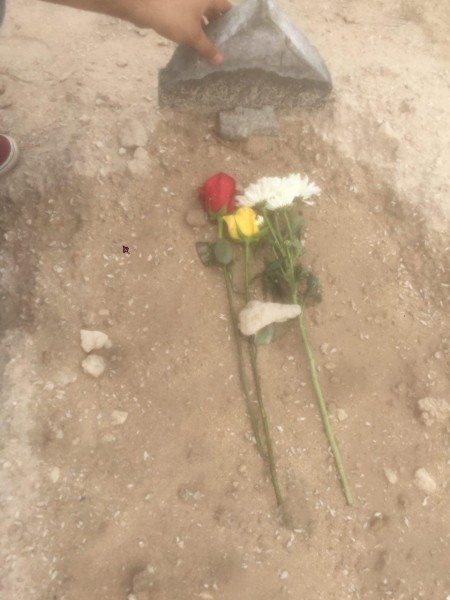 ��� ������ ����� ���� (����� ����� ���� 19 ����� 2017)