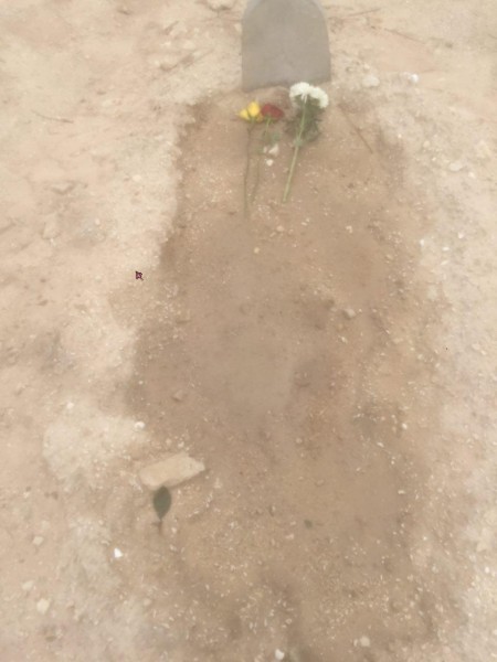 ��� ������ ����� ���� (����� ����� ���� 19 ����� 2017)