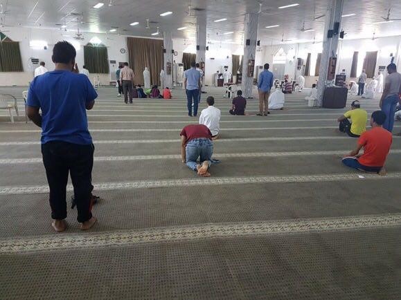 ���� ������1