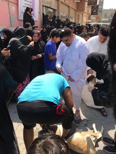  ������� ���� ����2