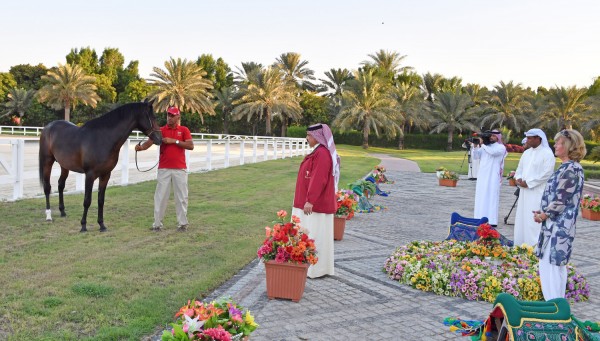 ��� ������� 