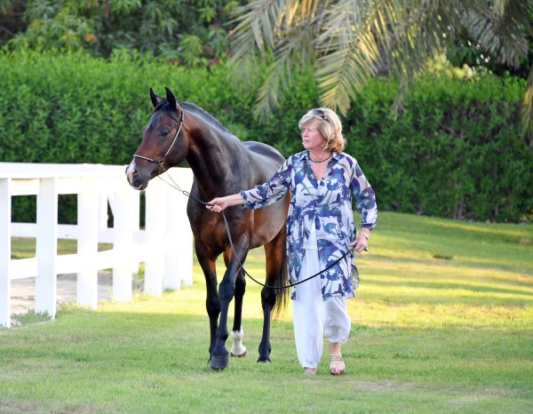 ��� �������2