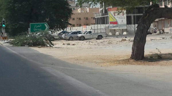 ���� ������1