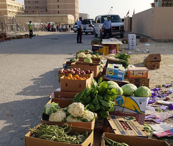 ������� ���� 53 ���� ������ �������� �� ��� ����3