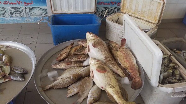 ���� �� ��� ������� ������ �� ��� ���� 