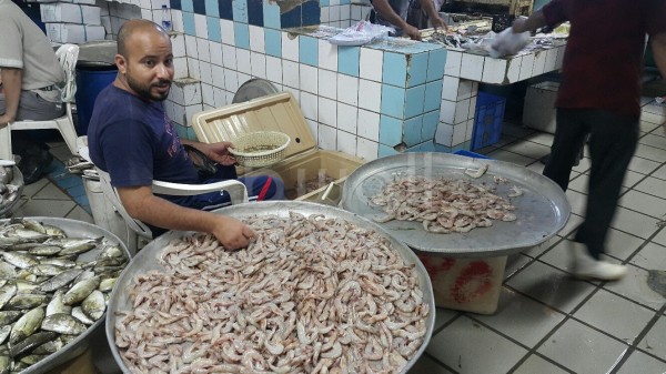 ����� ���� �������� ��� ������ ���� ���� (�������)