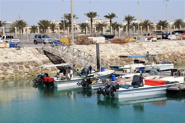 ���� ���� (�������)