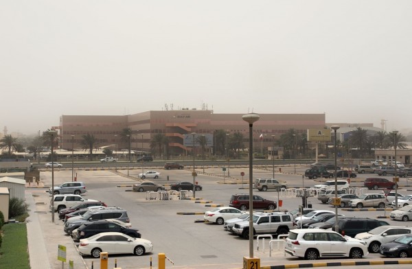 ���� ������� ������