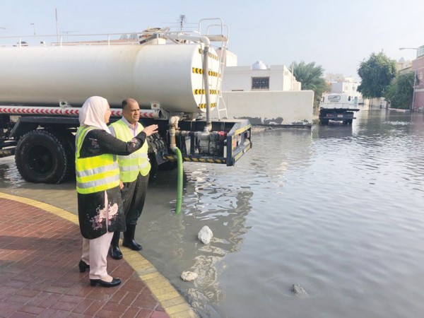 ��� ���� ������� �� ������ ������� - ������ 2018