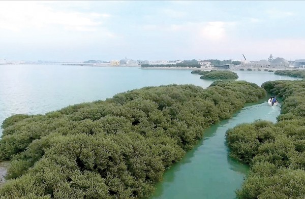 ���� �����