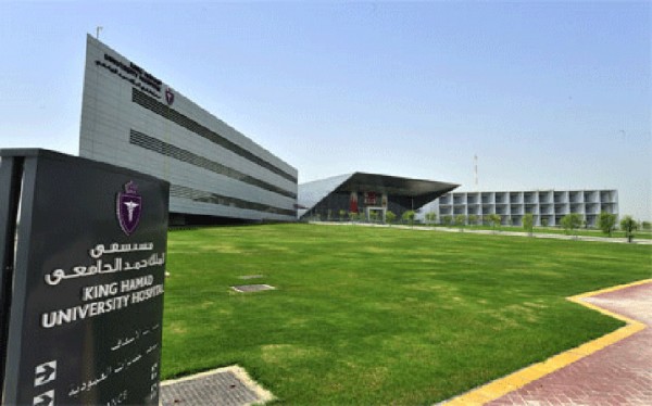 ������ ����� ���