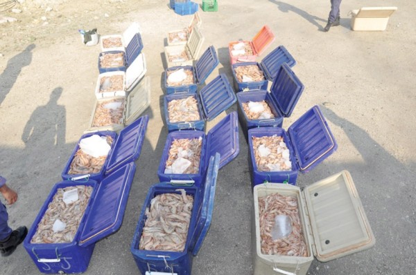 ��� ������� ����� ��� �� �� �������� ���� �� ������� ���� �����