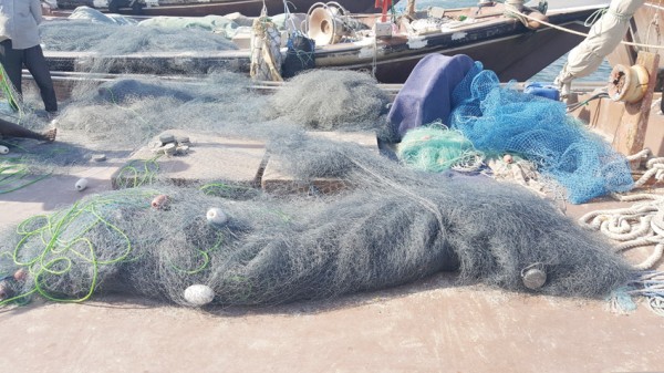 ���� ���