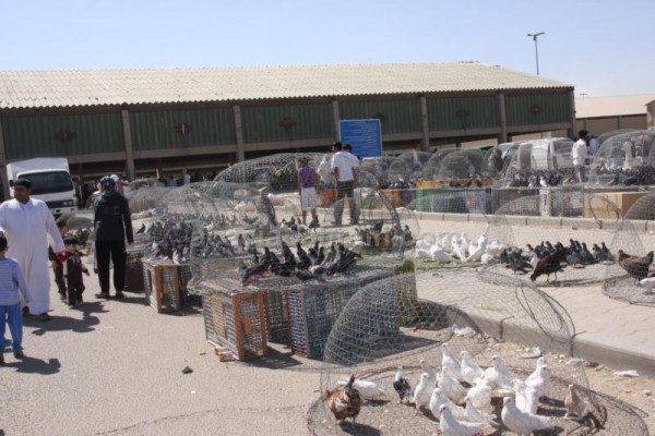 ��� ������ �� ������