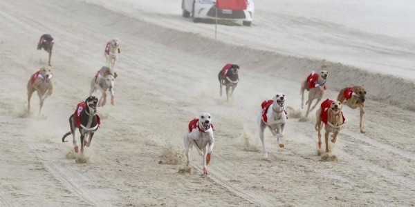 ���� ����� ���� �� ��� �� ����� �� ����� ���� ������ �������� �� ����� ���� ����� ������� �� ���� ����� �����