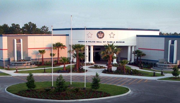 ���� ������ �� �������� ������� 