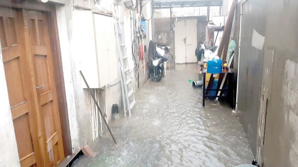 ���� ���� ������� �� ������� - 13 ����� 2019