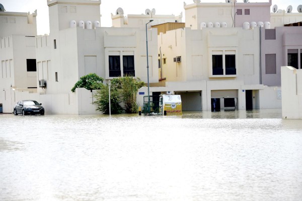 ���� ���� ������� �� ������� - 13 ����� 2019