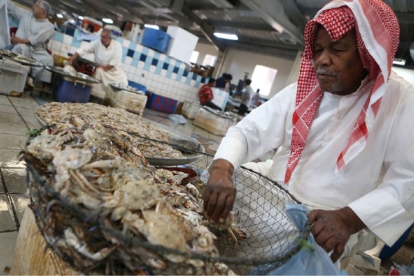 ������ ��� ����� ���� �������� �������� �� ��� ������� ������� ������� - 14 ���� 2016 (����� �����)