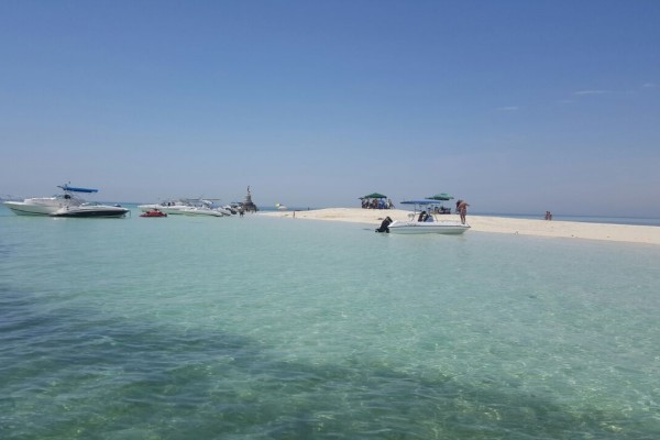 ���� ����� ����� ��� ����� ����� - ������� 