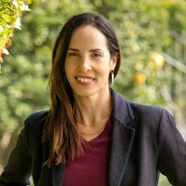 ���� �����